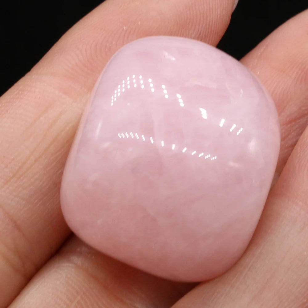 45728925647005|45728925712541|45728925745309